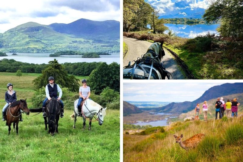 day trips and tours from Killarney