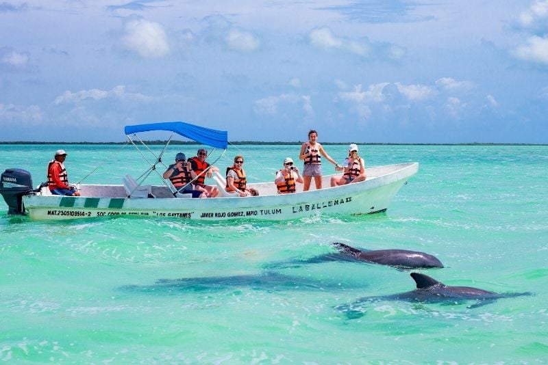 dolphin watching at Sian Ka'an Biosphere Reserve