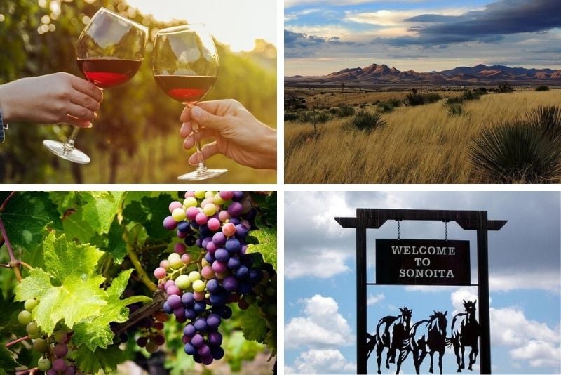 wine tour and tasting in Tucson