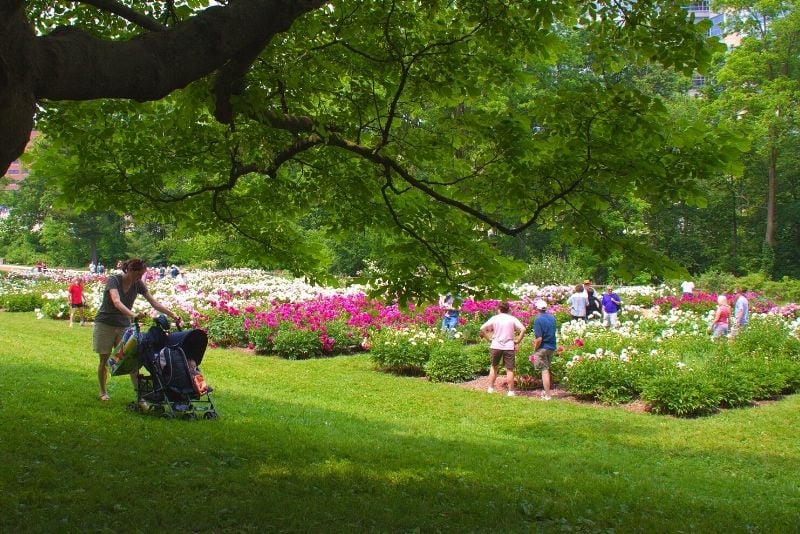 Matthaei Botanical Gardens, Ann Arbor, Michigan