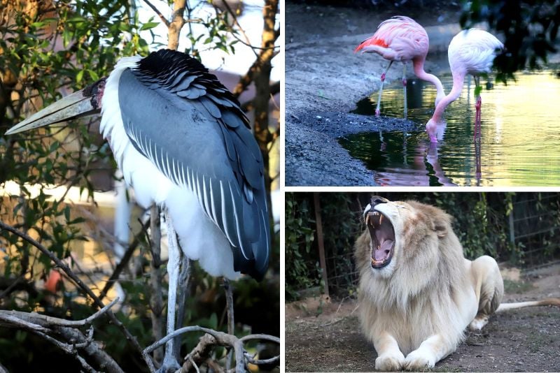 MundoPark Zoo, Seville