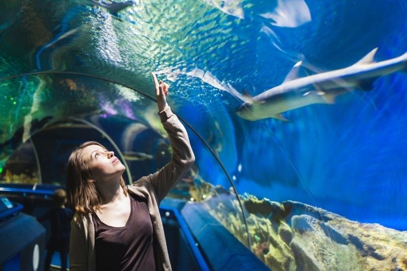 Newport Aquarium, Cincinnati