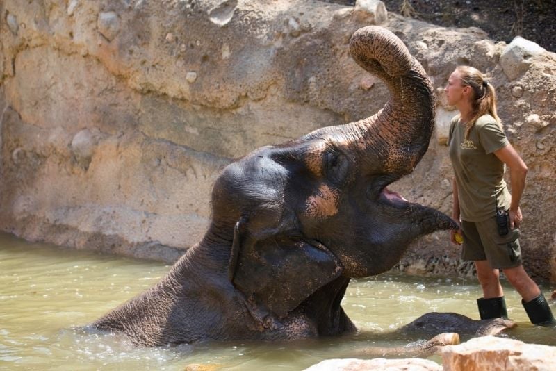 Terra Natura Zoo und Wasserpark, Alicante