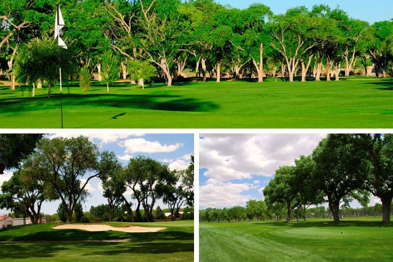 golf in Albuquerque