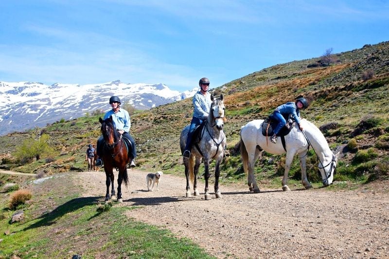 montar a caballo en granada