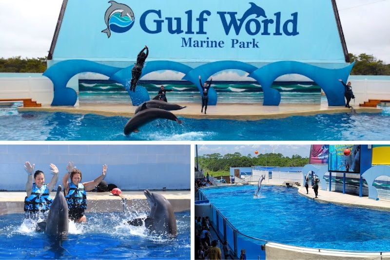 Gulf World Marine Park, Florida