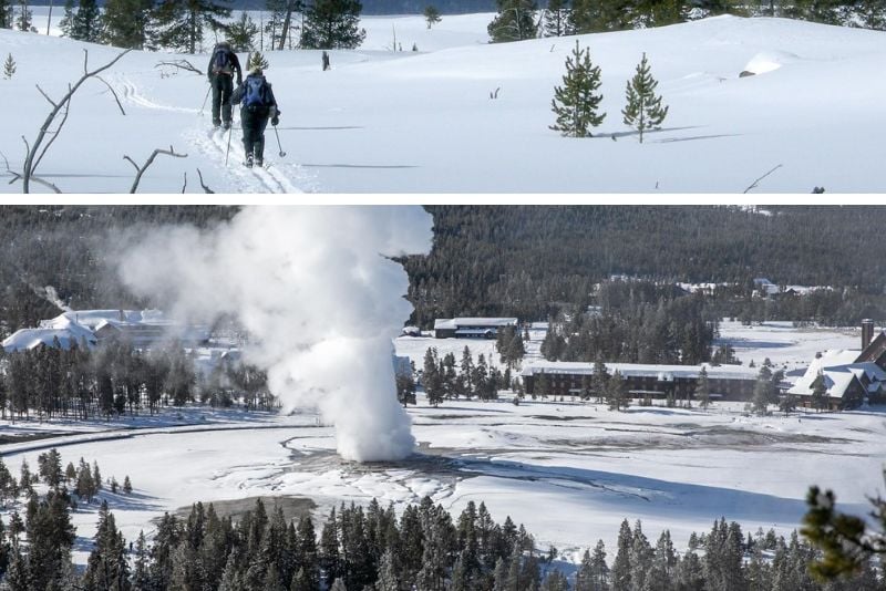 snowshoeing in Yellowstone