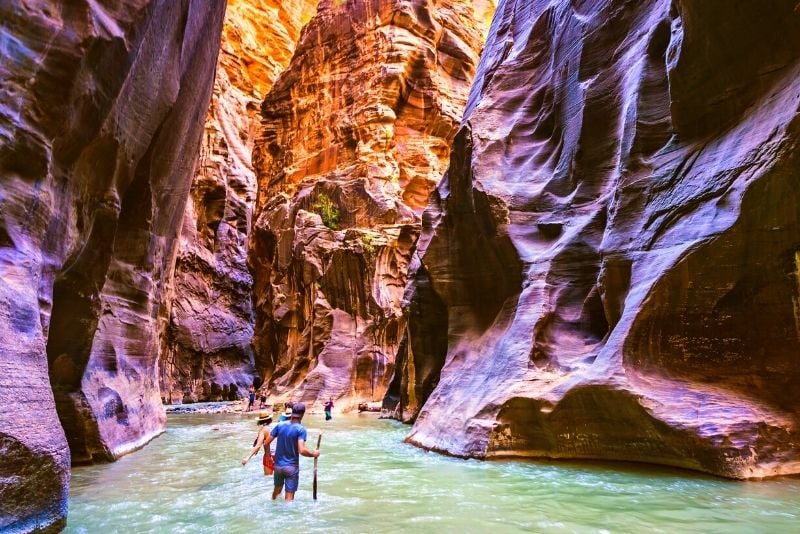 The Narrows, Zion National Park