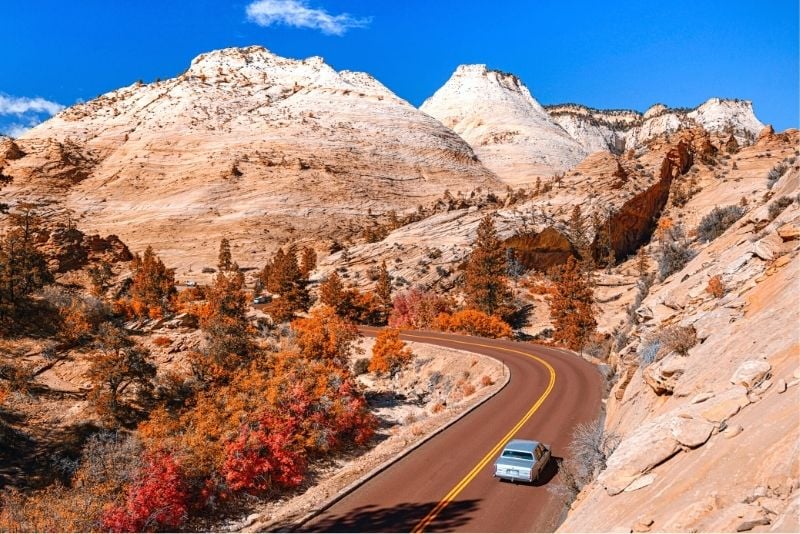 Zion Canyon Scenic Drive