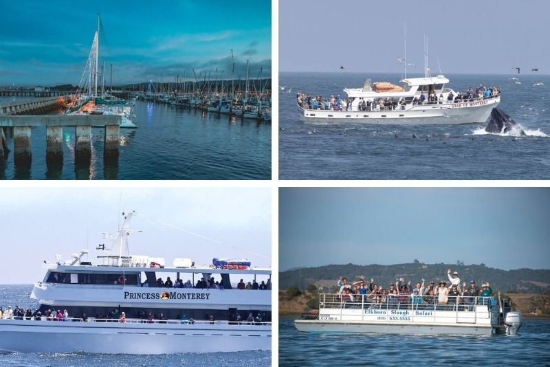 boat tour in Monterey
