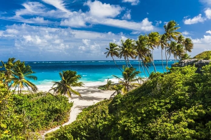 fun things to do in Barbados island