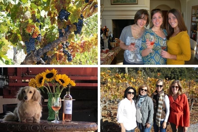 wine tour in Monterey