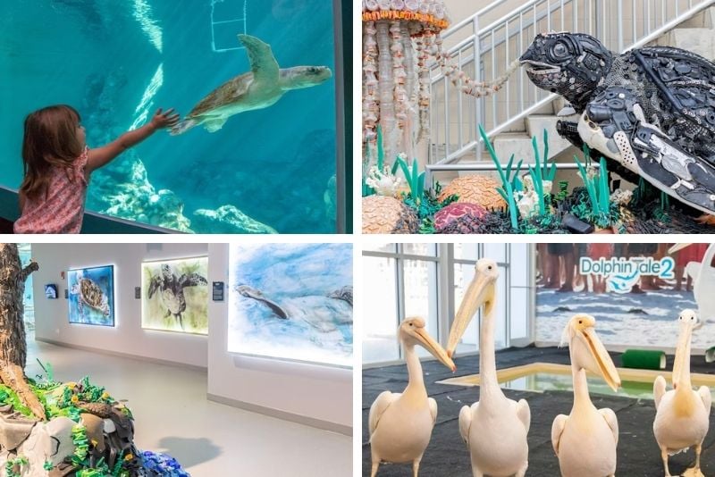 65 Fun & Unusual Things to Do in St. Petersburg, Florida TourScanner