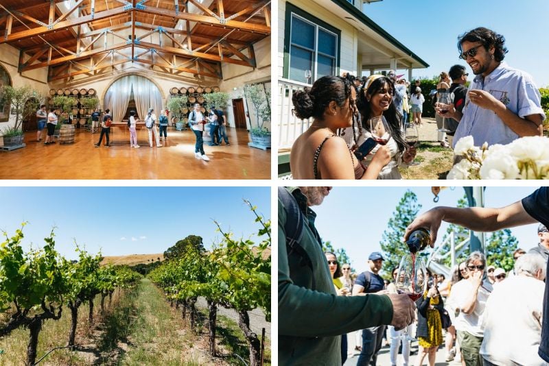 wine tours in San Francisco