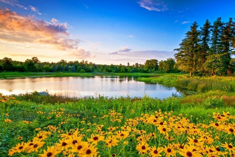 Morton Arboretum, Chicago