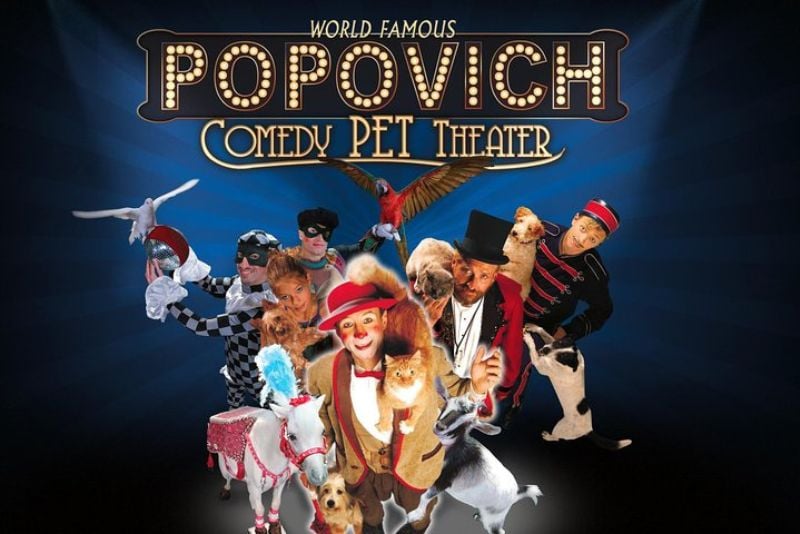 Popovich Comedy Pet Theater, Las Vegas show