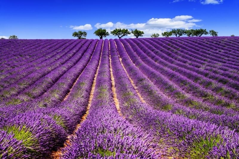 Provence, France