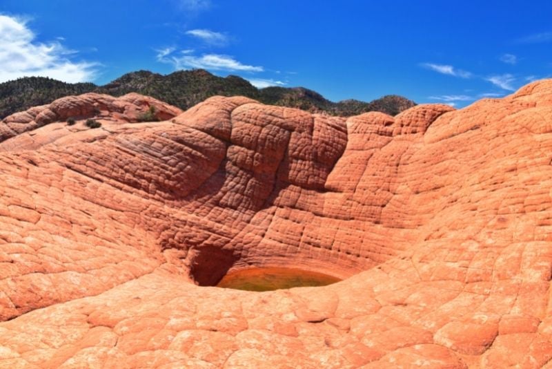 Snow Canyon & Red Cliffs Conservation Area