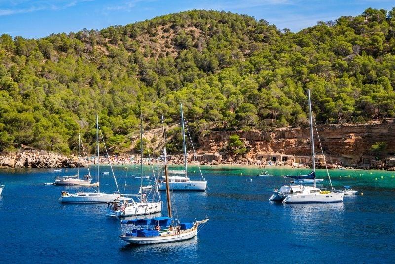 Ibiza Boat Rental