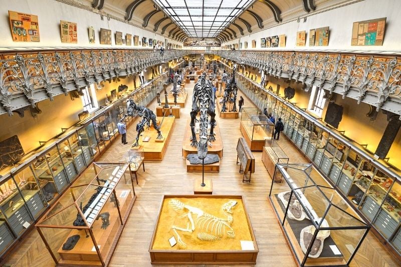 National Museum of Natural History, Paris