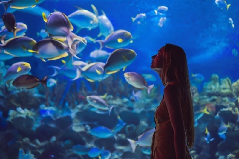 Aquaria Phuket, Phuket