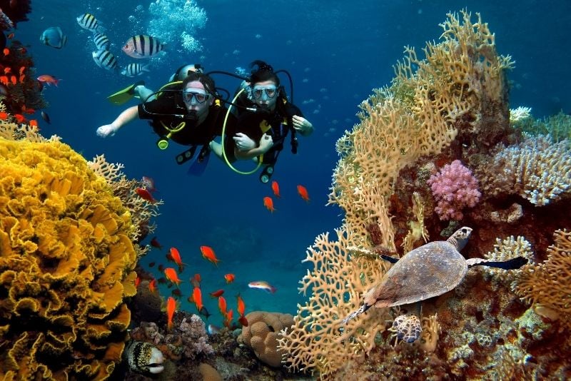 scuba diving in Krabi