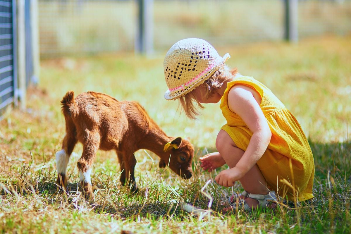 Collingwood Children’s Farm, Melbourne