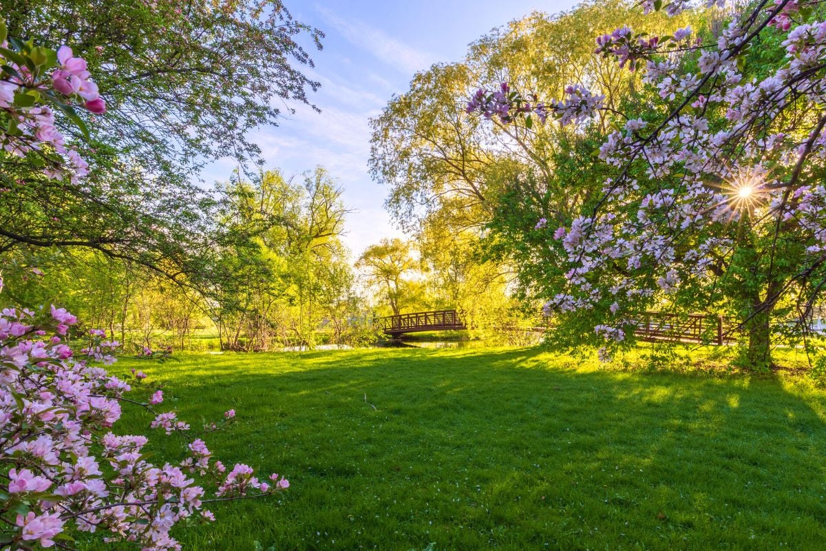 Dominion Arboretum, Ottawa