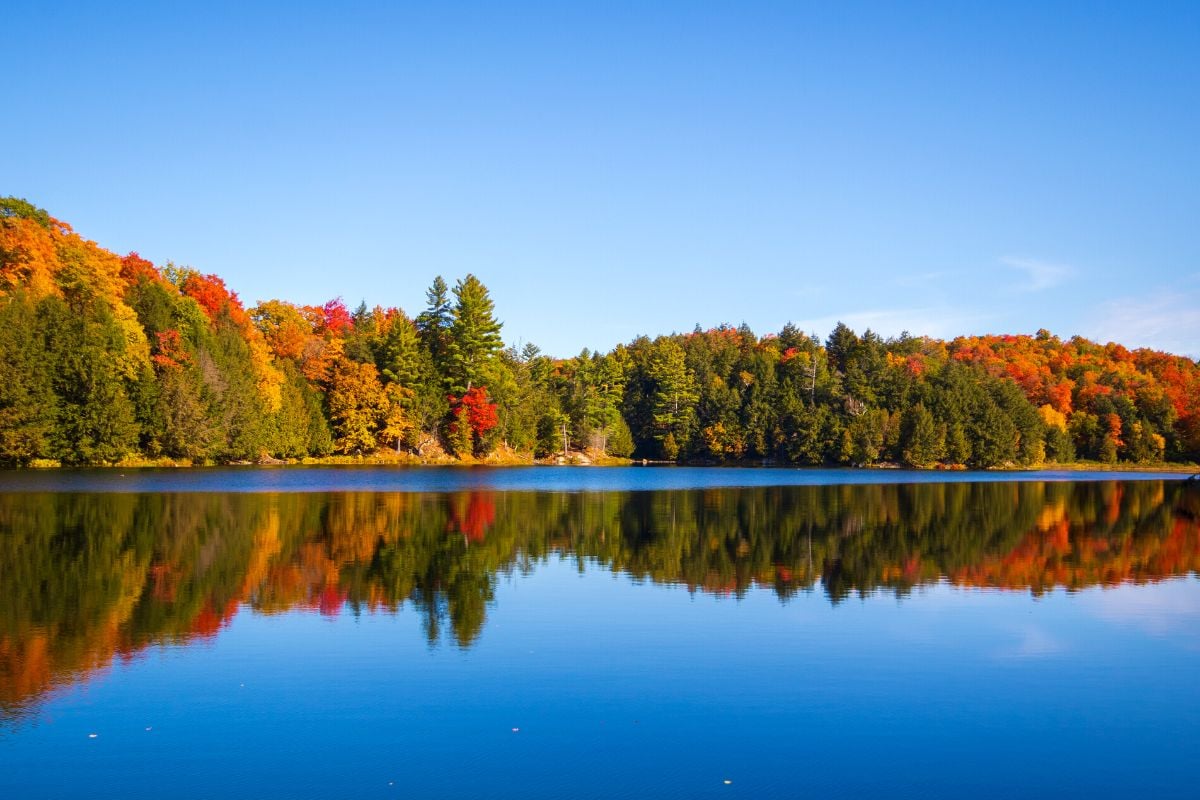 Gatineau Park, Ottawa