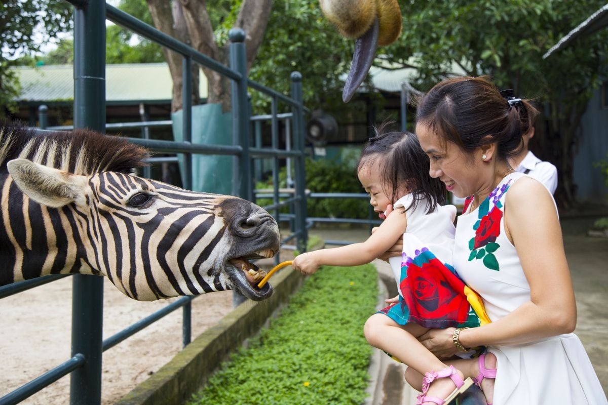 Hanoi Zoo, Hanoi