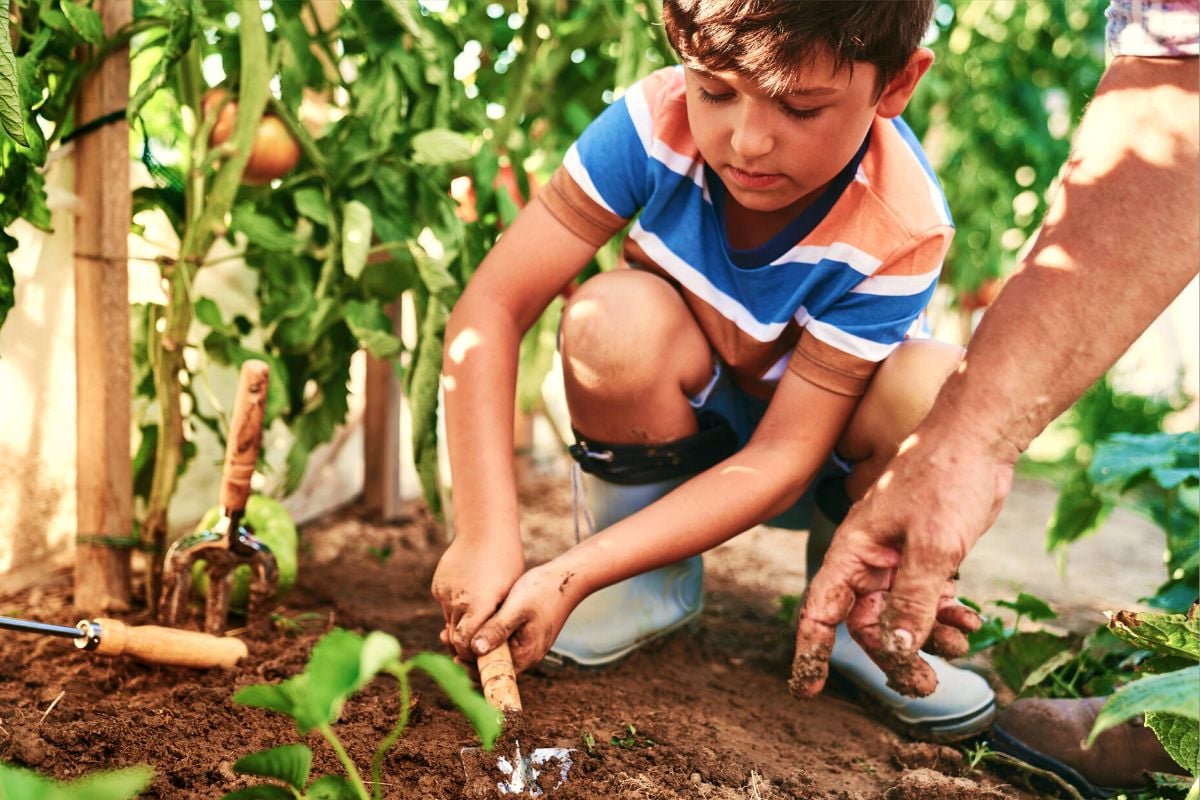 The Ian Potter Foundation Children’s Garden, Melbourne