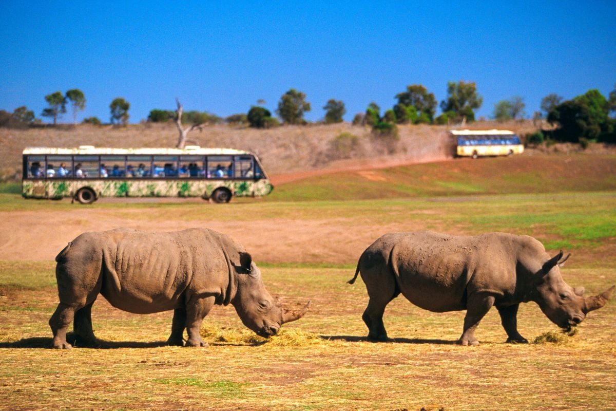 Werribee Open Range Zoo, Melbourne