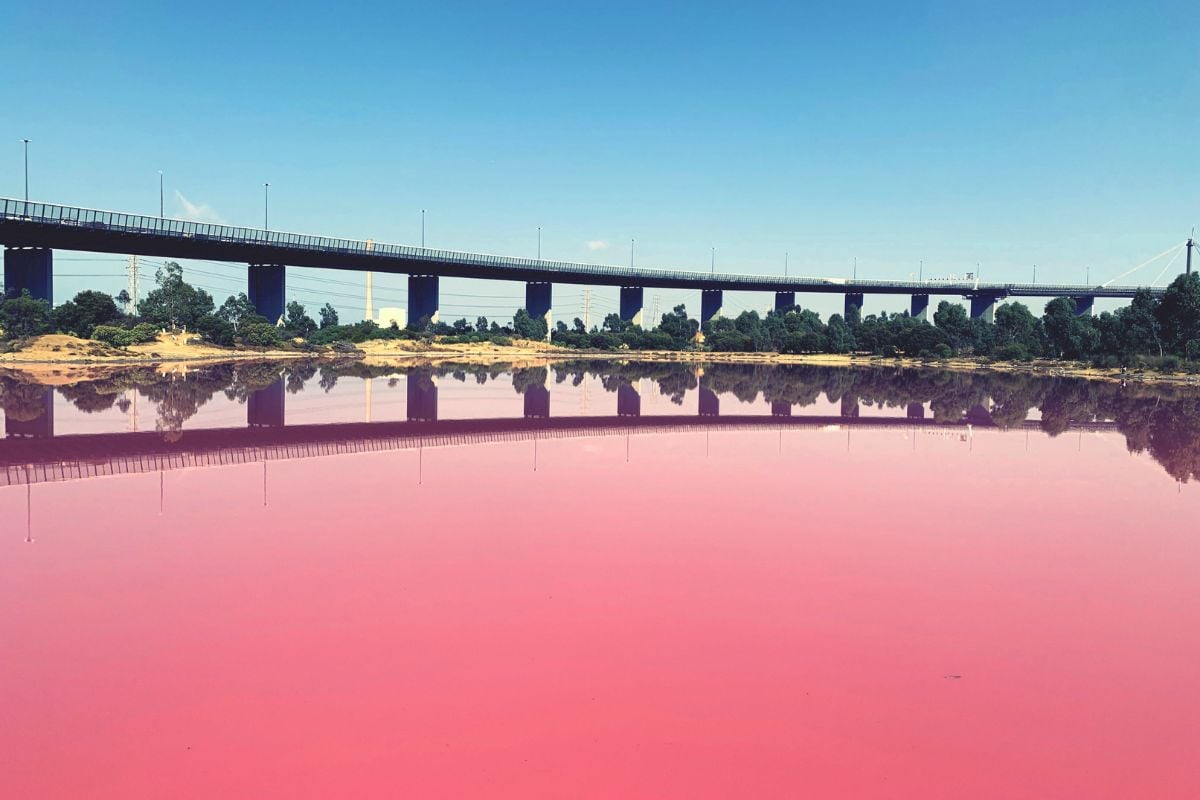 pink lake in Westgate Park, Melbourne