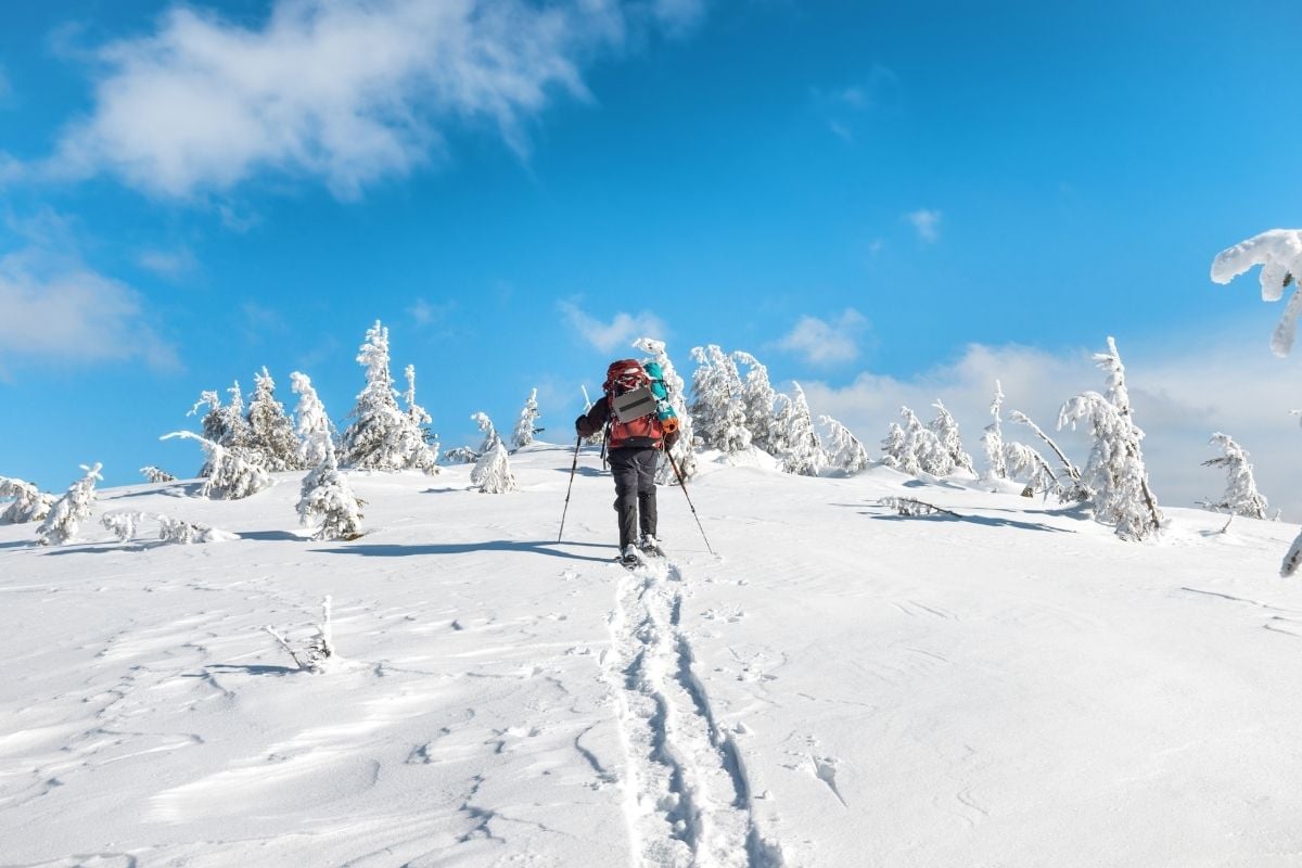 snowshoeing in Ottawa