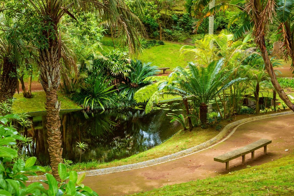 Botanischer Garten in Sao Miguel, Azoren