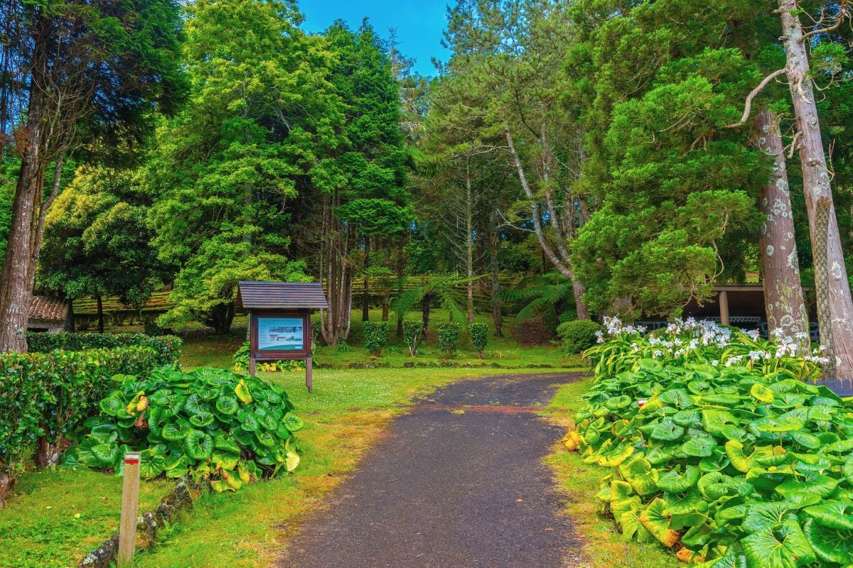 Waldpark Sete Fontes, Azoren