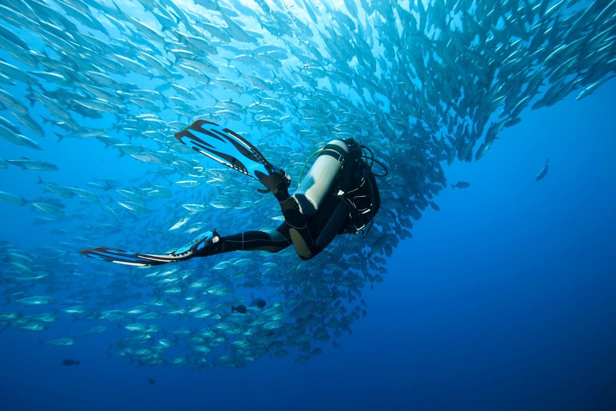 immersioni subacquee a Santa Maria, Azzorre