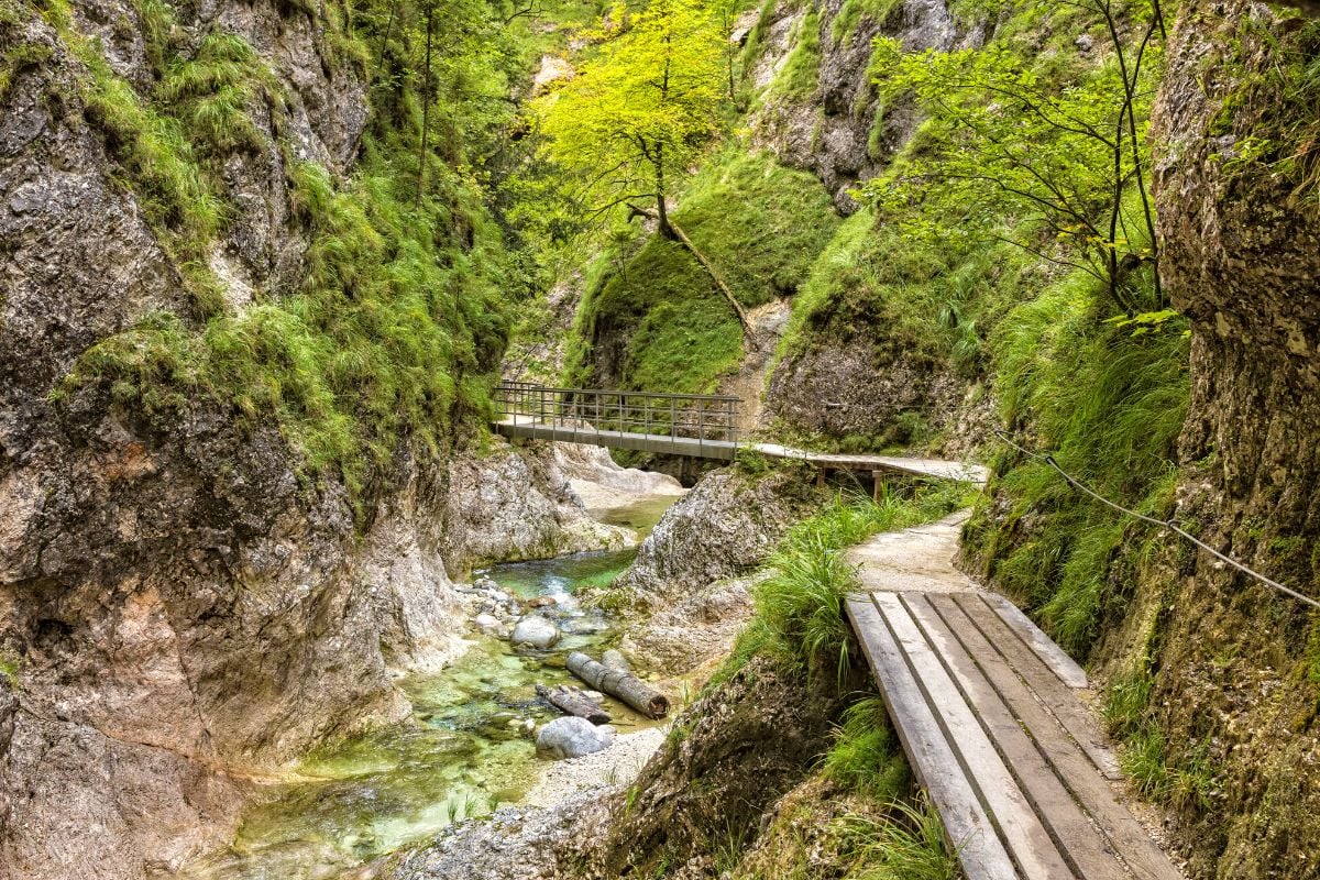 Almbachklamm, Germany