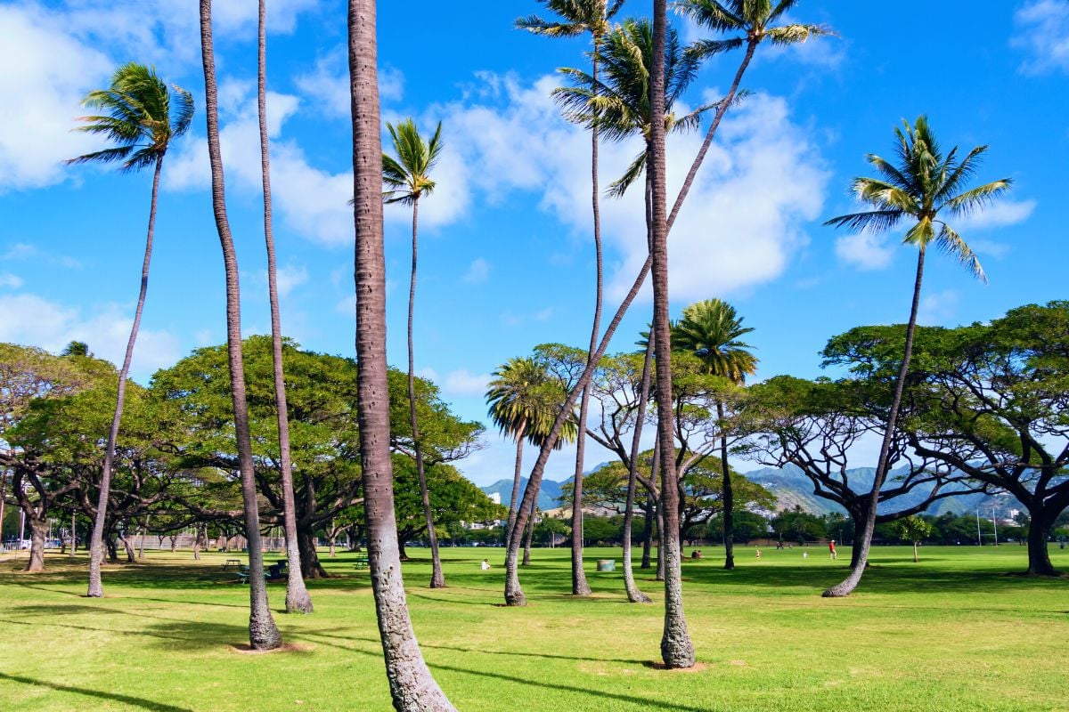 Kapiʻolani Regional Park, Waikiki