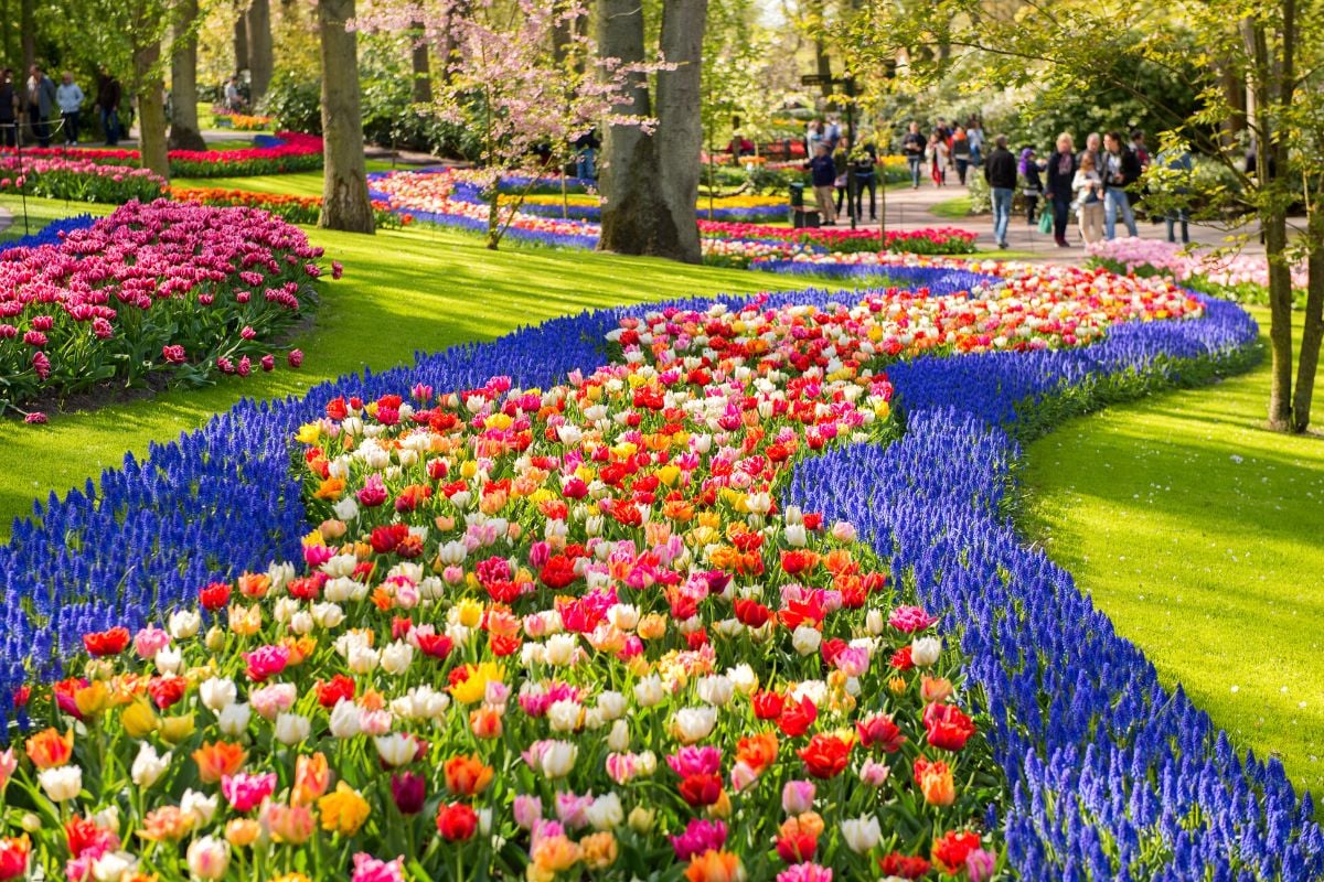 Keukenhof Gardens, Netherlands