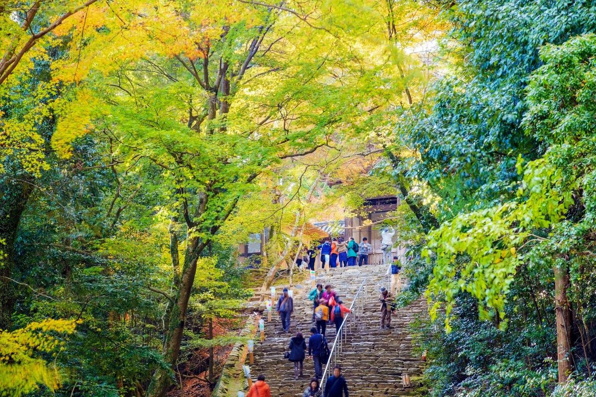 Monte Takao, Giappone