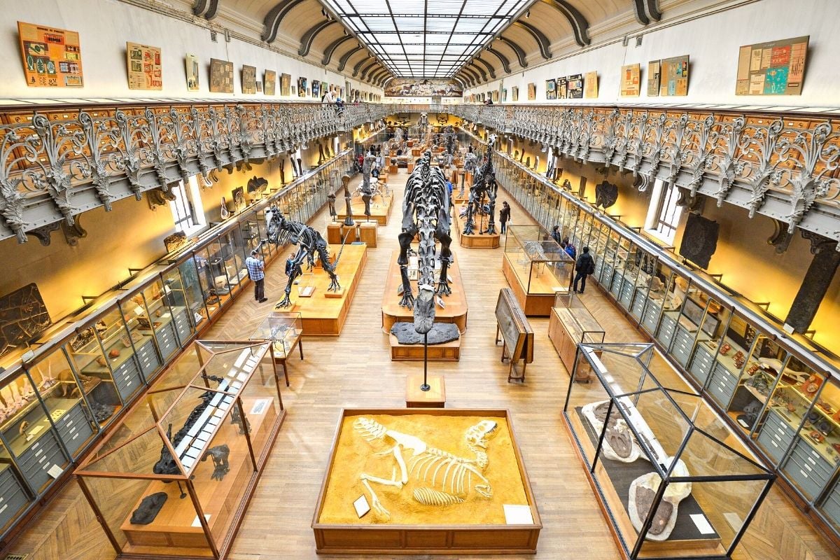 National Museum of Natural History, Paris, France