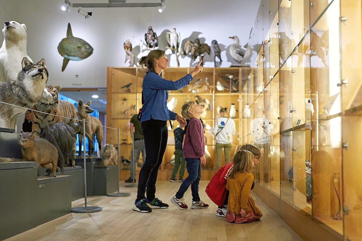 Natural History Museum Rotterdam, Netherlands