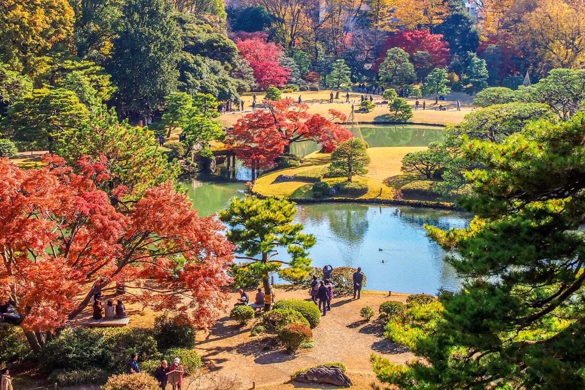 Rikugien Gardens, Tokyo