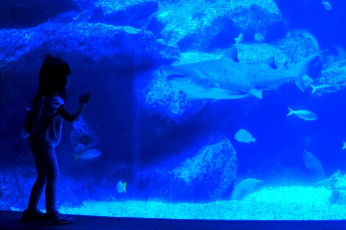 Sumida Aquarium, Tokyo