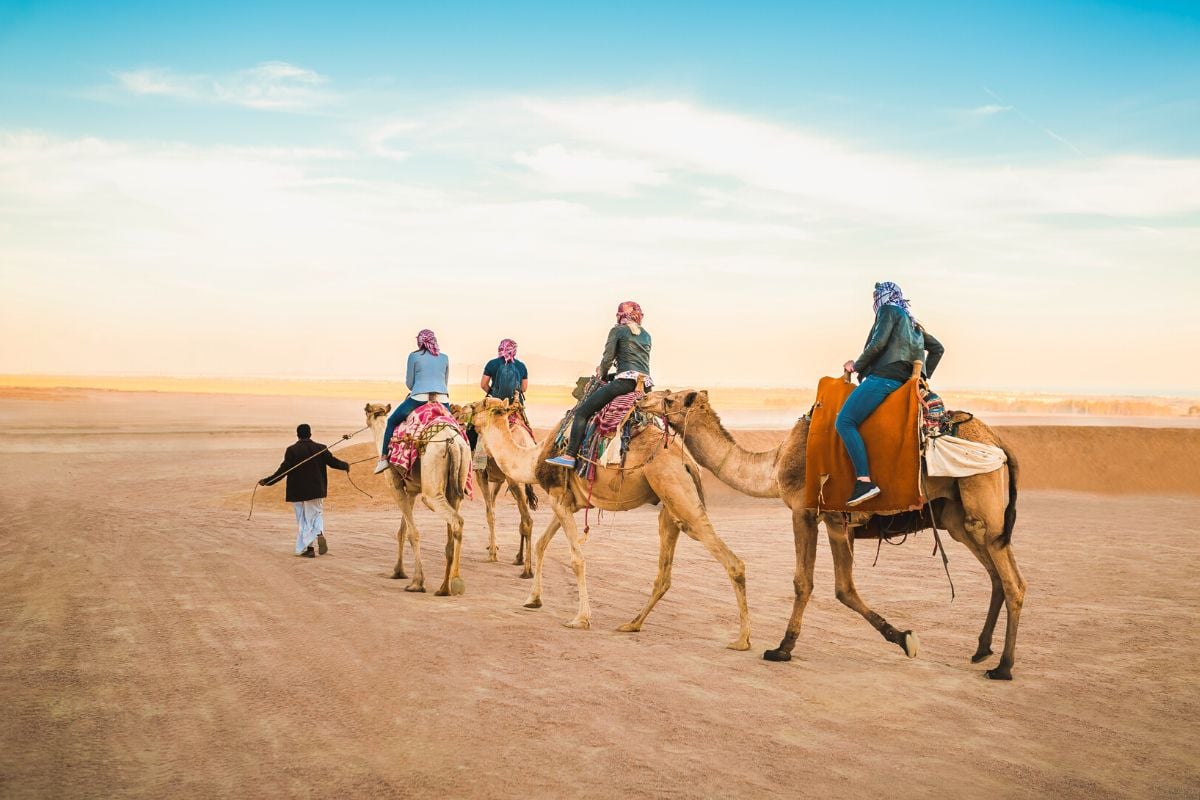 camel riding tours in Agadir