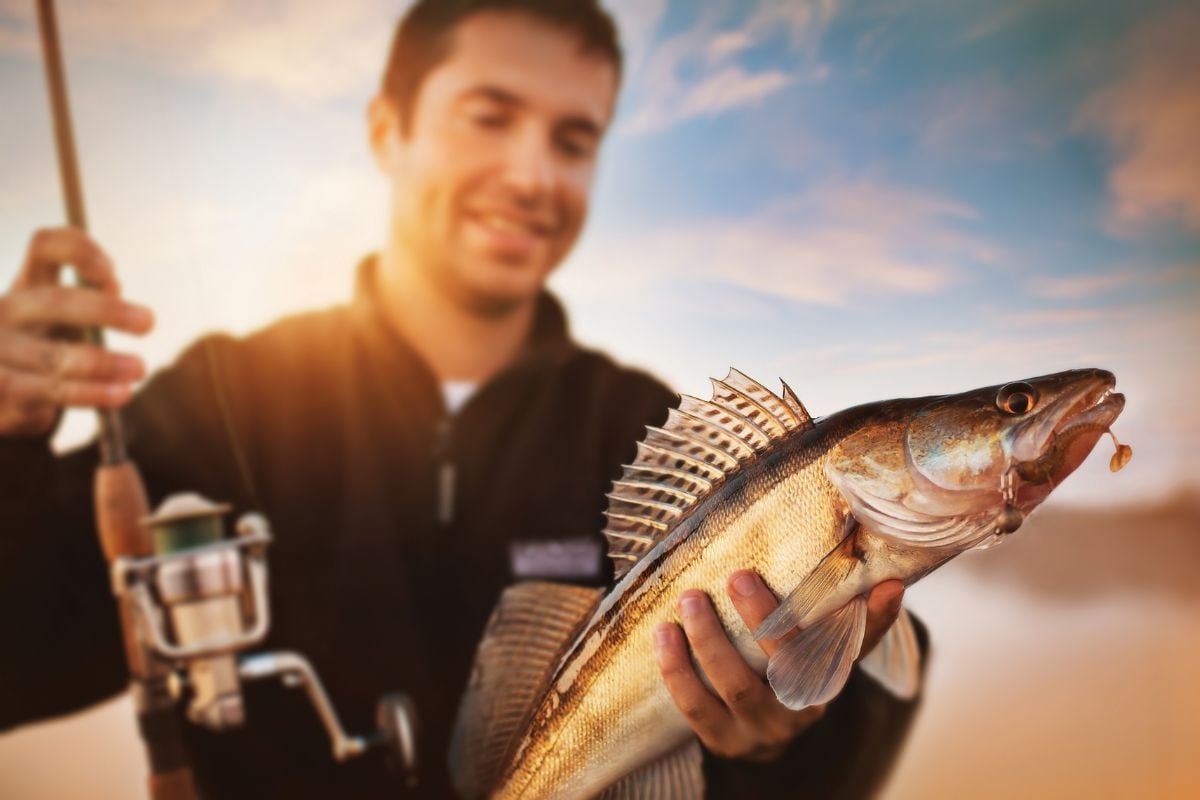 fishing in Agadir