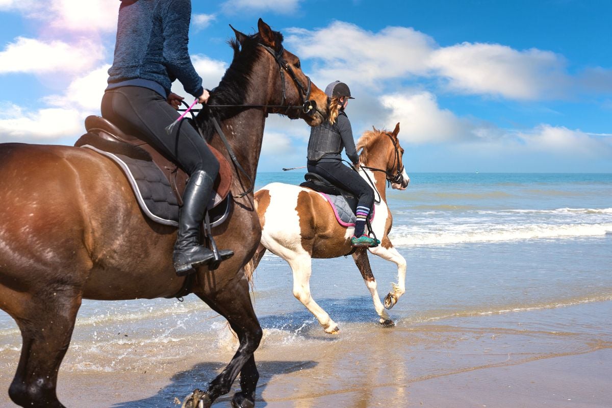 horse riding in Agadir