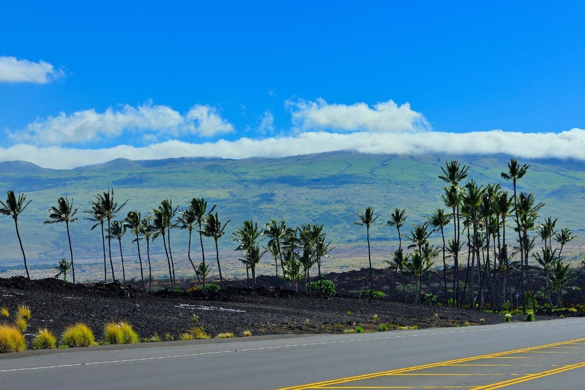 scenic drives in Hilo