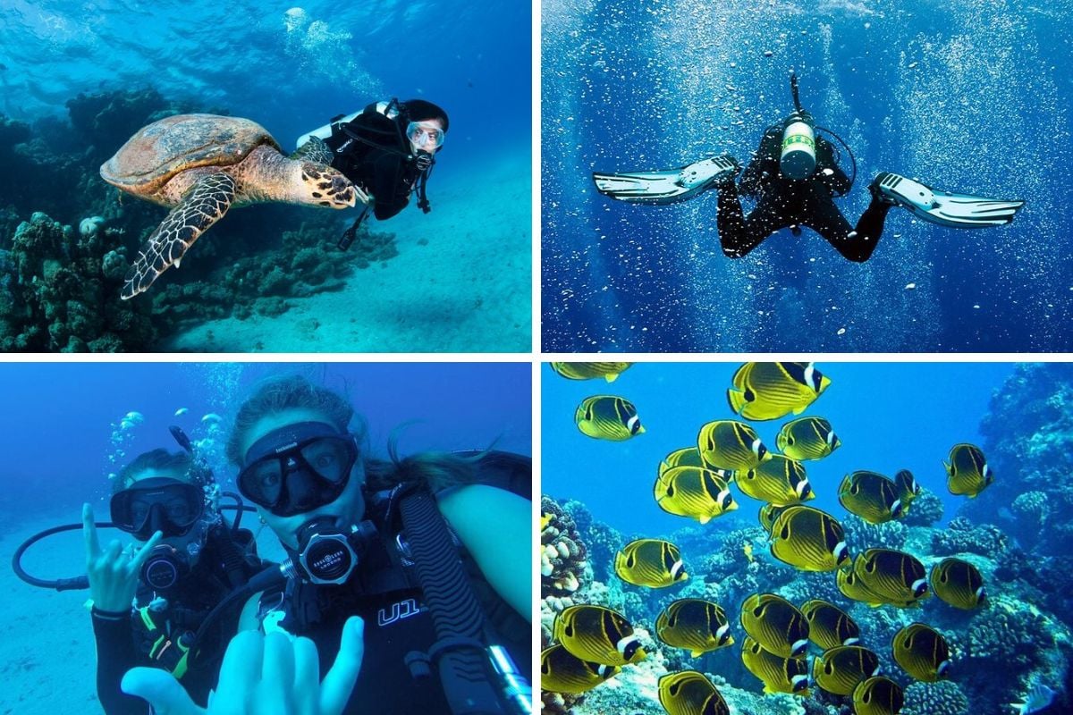 scuba diving Tours in Big Island